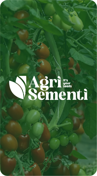 Logo di Agrisementi – progetto di rebranding completo per il settore agricolo
